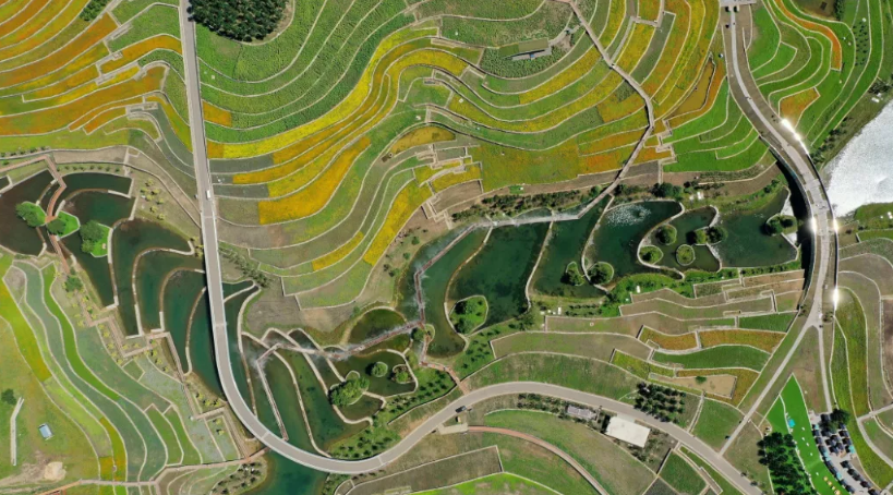 在现状已改造梯田的基础上,融入景观的设计,更好的展现独特的梯田风光