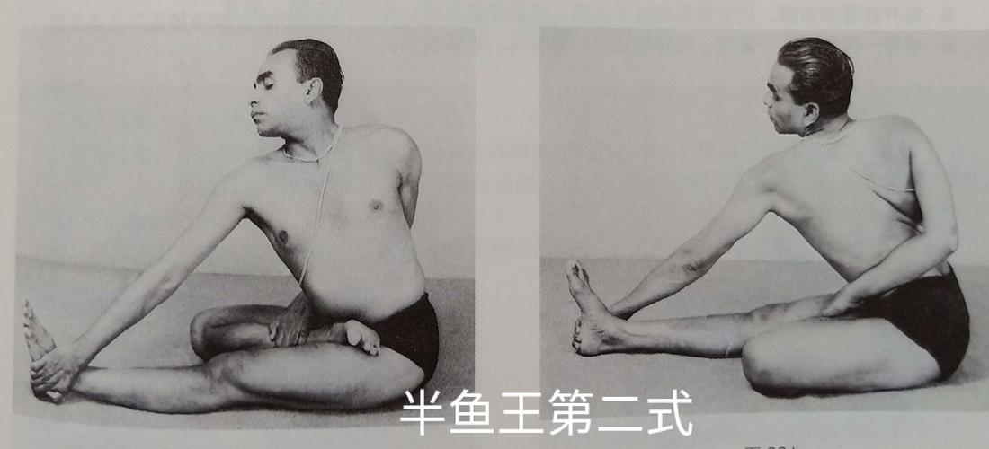 艾扬格体式库(中)