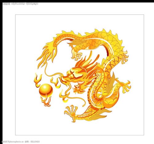 矢量金色龙图片