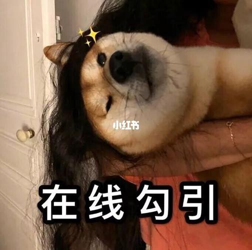 表情包33_表情包_裙子_光腿神器怎么样_lolita_时尚