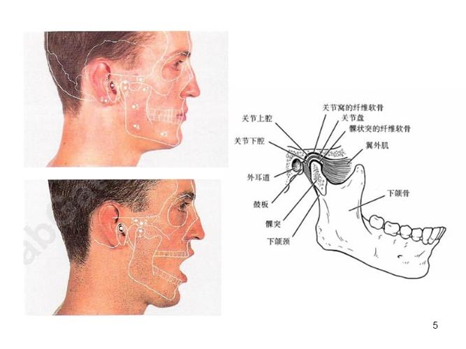 (参考课件)颞颌关节紊乱病的物理治疗.ppt
