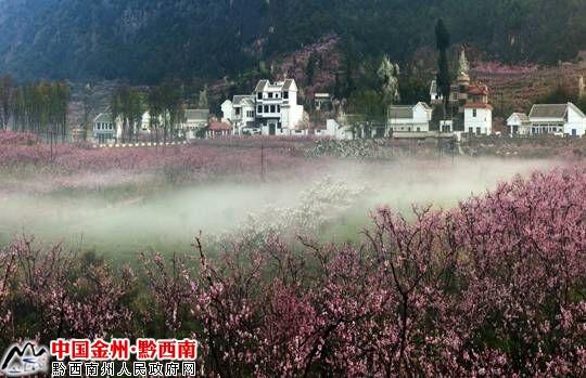 桃花谷