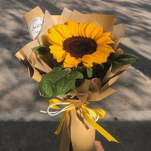 鲜花速递单支玫瑰单枝向日葵单只康乃馨花束包装礼物送员工老师企业