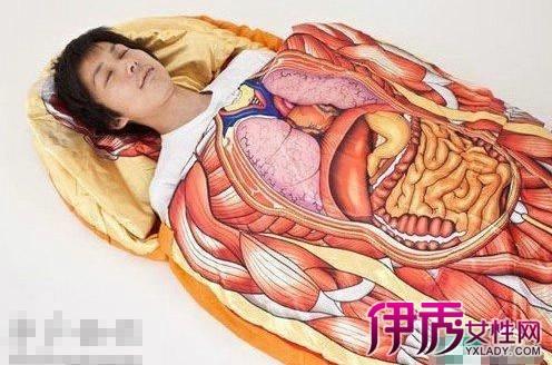 人体内脏器官分布图 让你充分了解自己