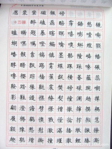 罗杨钢笔字帖常用4500汉字规范练习硬笔书法描红本临摹写字本批发