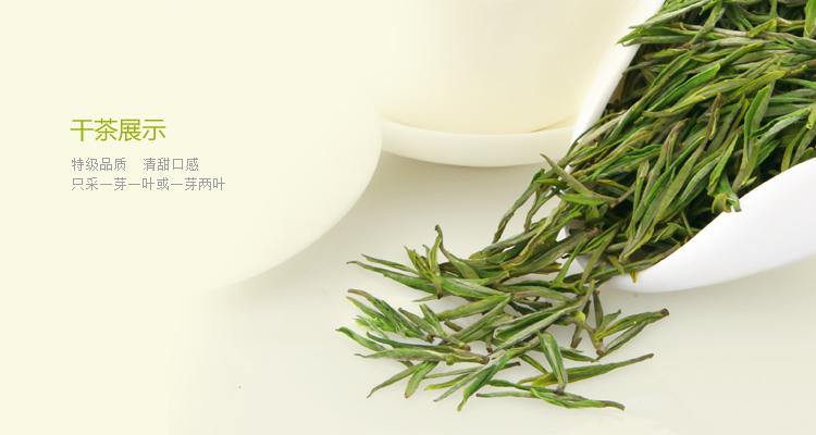 安吉白茶冲泡后图片