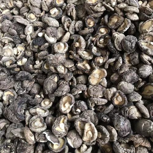 河南卢氏干香菇新货肉厚产地直发包邮