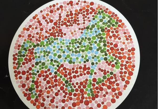 5张色盲测试图:若你看不到"马",说明你是色盲,和驾照