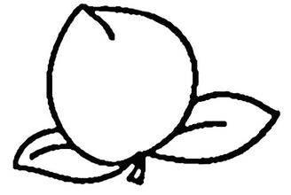 这个是什么水果?