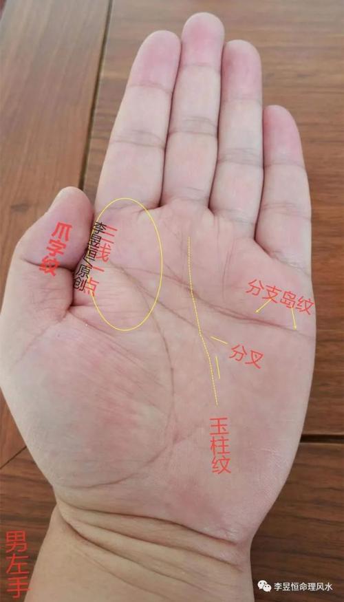 男人爪字纹这种标记婚姻晚但事业容易有成