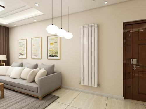 客厅的大暖气片