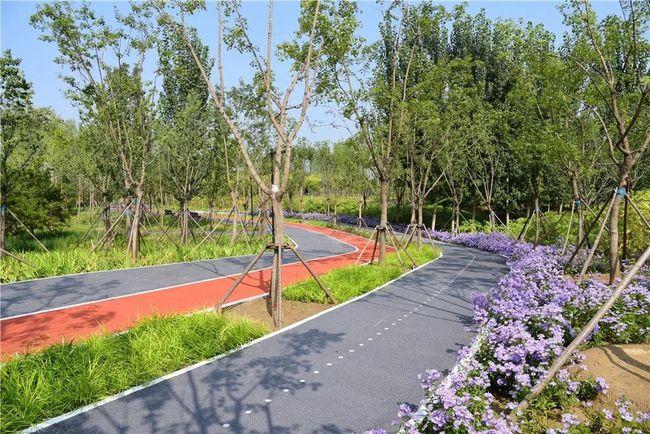 昌平42公里绿道项目正式复工,预计6月底建成投