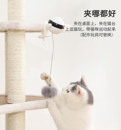 yo-yo夹子逗猫玩具电动猫玩具