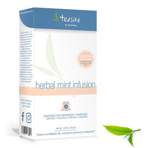 herbal mint infusion tea