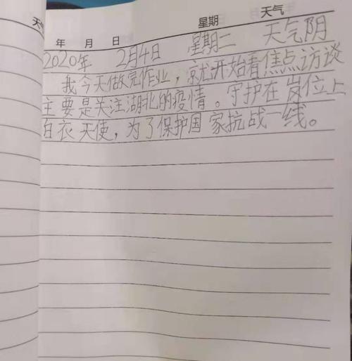 达字刘小学生的宅家日记