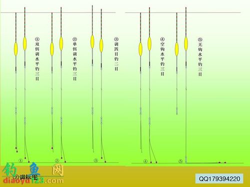 钓鲮鱼调漂方法