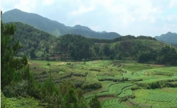 真实民间风水故事