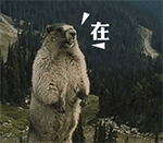 土拔鼠表情包