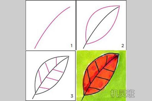 怎么教中班幼儿画6种简单好看的树叶简笔画(步骤图解)
