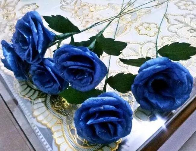 十九枝蓝色妖姬