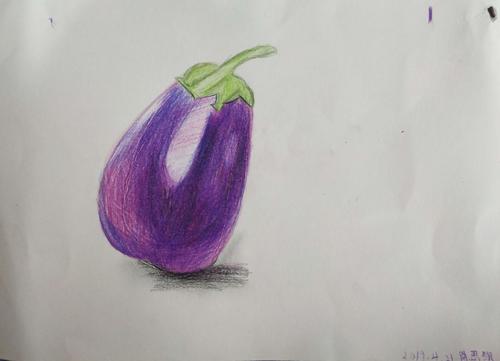 橙子美术2019春季彩铅班第八次作品《茄子》