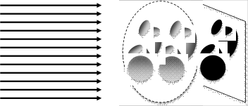 根据前面介绍的b超原理,我们很难想象两个胎儿会在一个扇形剖面上重合