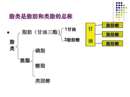 249千卡等于多少脂肪