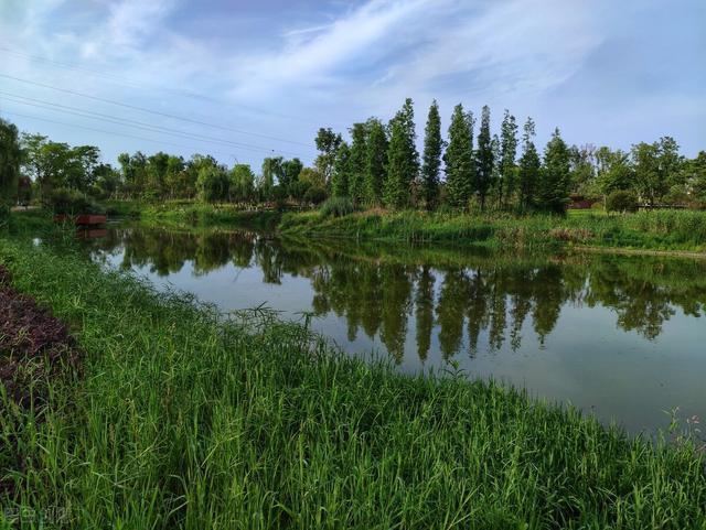遂宁九莲洲生态湿地公园初夏景色
