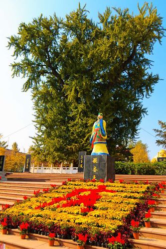 郯城中华银杏生态旅游区