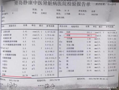 肾功能是好是坏关键看这些指标