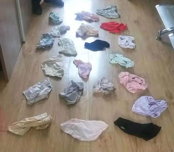 秋季攻势丨宿州一男子多次盗窃女性内衣被刑拘|内裤_网易订阅