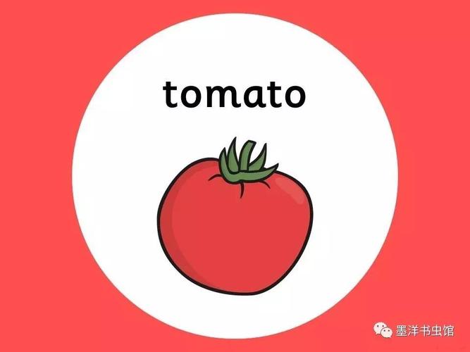 tomato 西红柿
