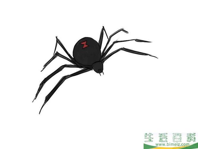 怎么画蜘蛛
