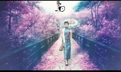 【阿篱.画】落花雨.