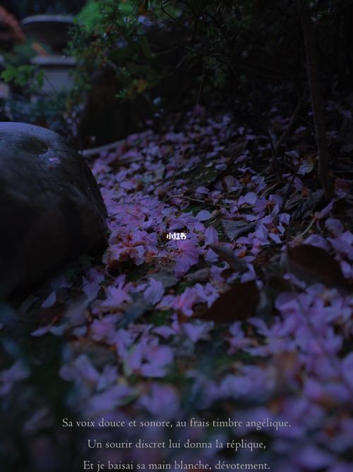 落花夜雨辞寒食,尘香明日城南陌