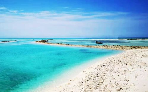 课文富饶的西沙群岛主要描述什么样的西沙风景