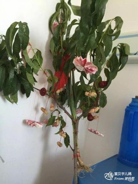 住了不到一星期就出院了,宝宝的爷爷送来了桃