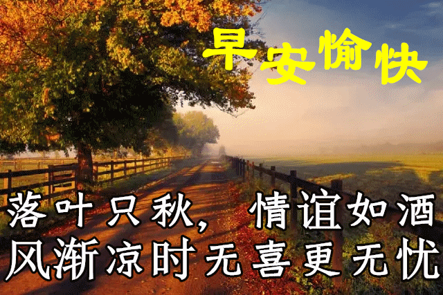星期三,早安,朋友!