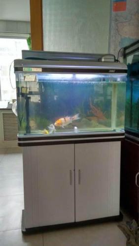 出售佳宝水族鱼缸