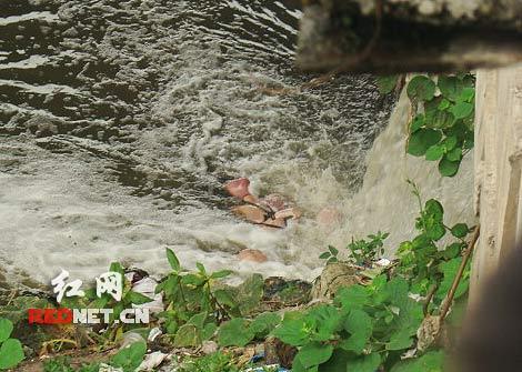 大桥出现一具女尸手脚被绑(组图)