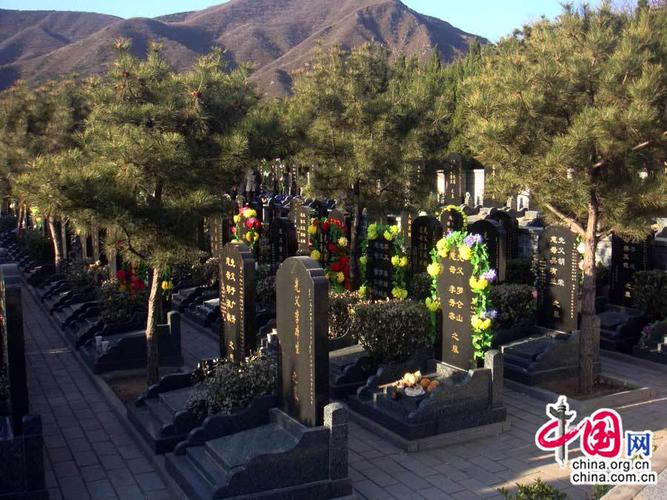 清明扫墓新风尚 墓园鲜花成新宠