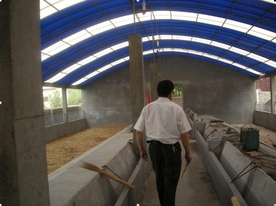 各种猪场,猪舍设计原理与猪舍现场图片