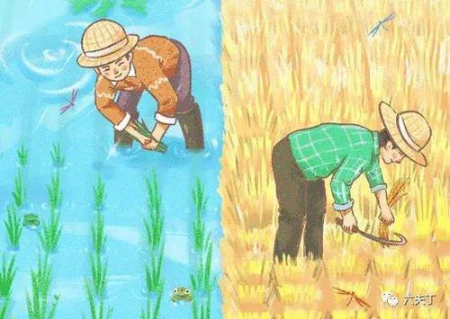 播种希望收获幸福的手抄报 爱的手抄报