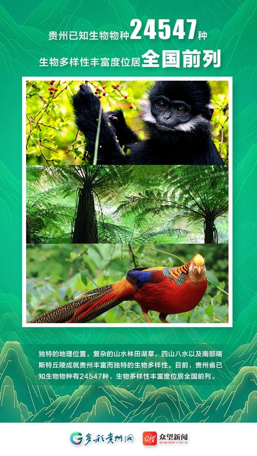 海报贵州生物多样性丰富度位居全国前列