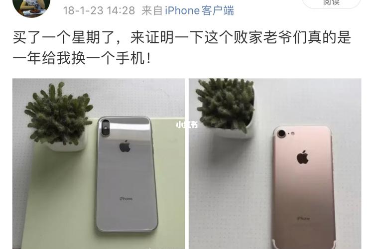 iphone12pro金色实在太美了_iphone_摄像头_果粉_土豪