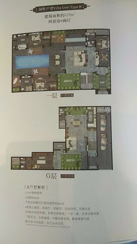 海棠华著别墅 - 户型图
