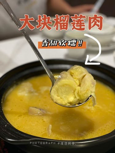 榴莲爱好者福星来袭60超大块榴莲肉煲鸡60