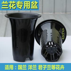 兰花花盆 兰花盆 塑料 透气加厚 兰草春兰蕙兰君子兰兰花专用花盘