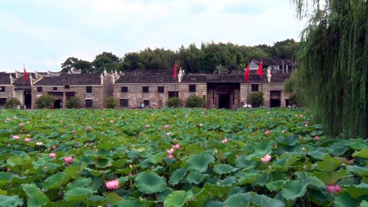 流华湾:坐着火车去赏荷 古村焕发新活力