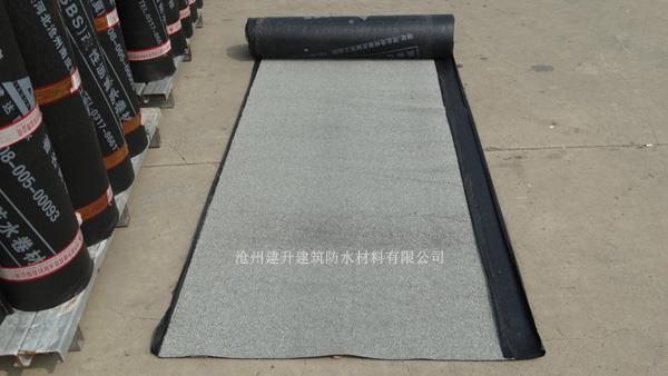 主页 产品展厅 >岩片sbs防水卷材   页岩片sbs防水卷材|岩片sbs防水